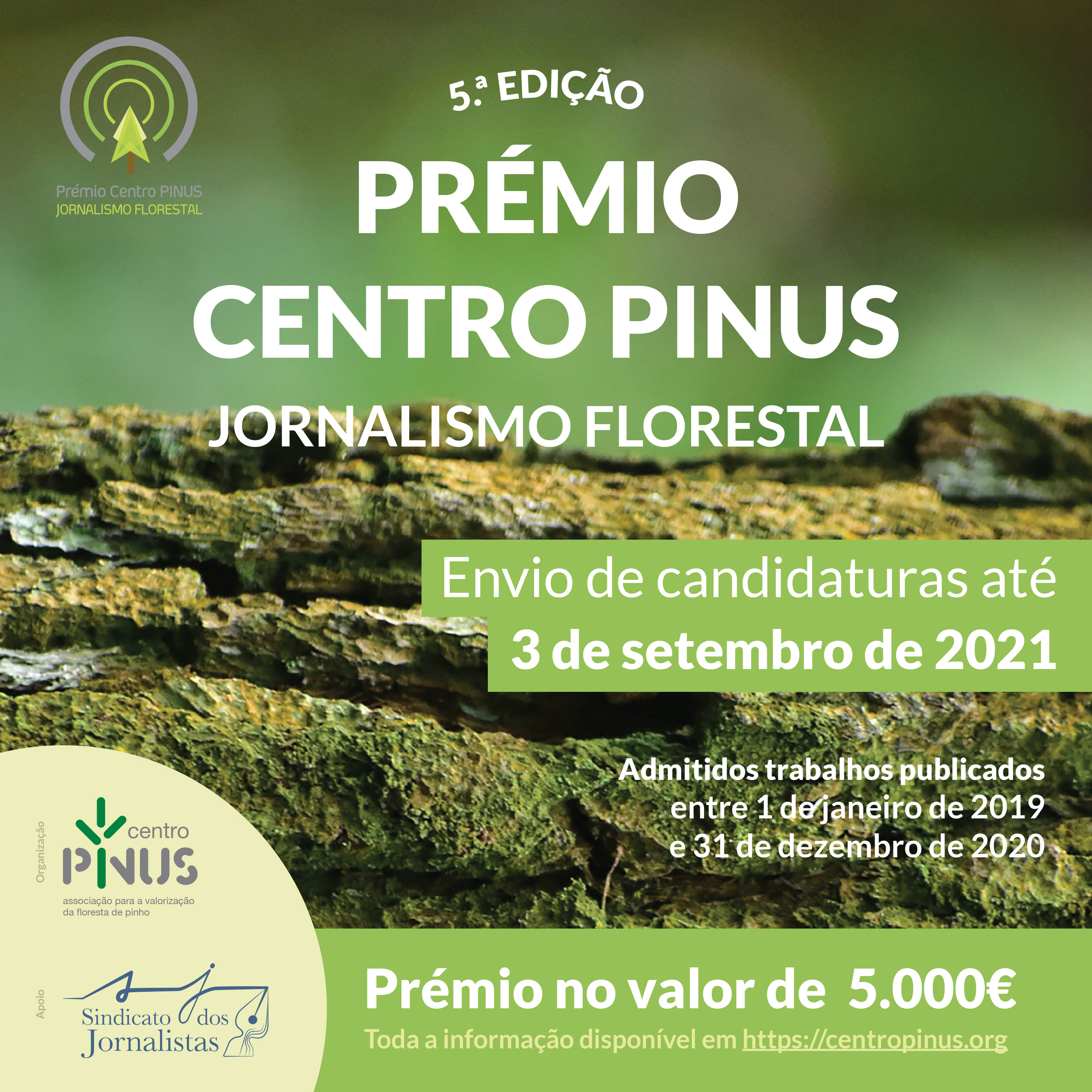 centro pinus